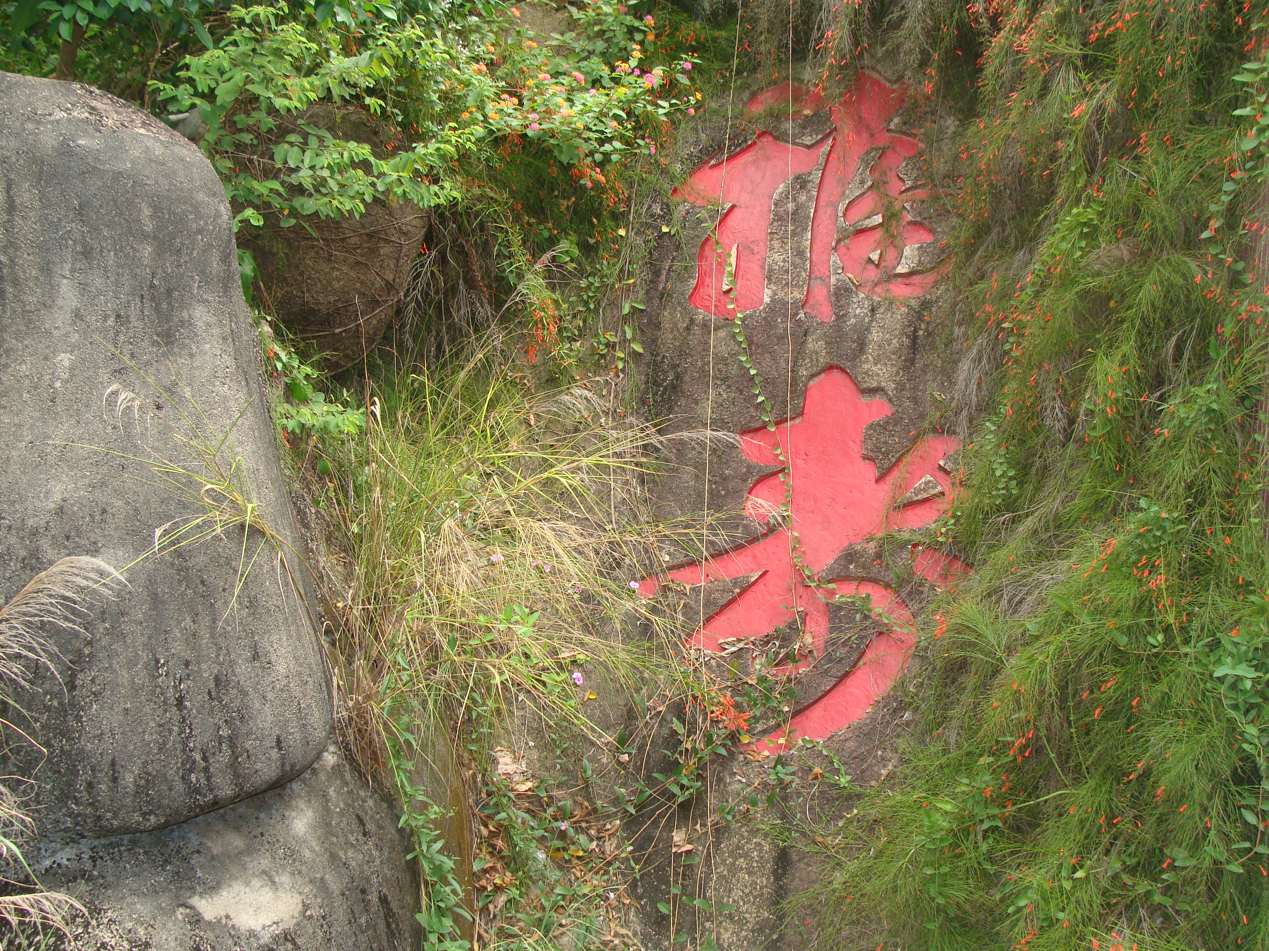 DSC08911.JPG